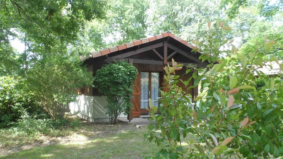 Chalet en bois au milieu de la verdure